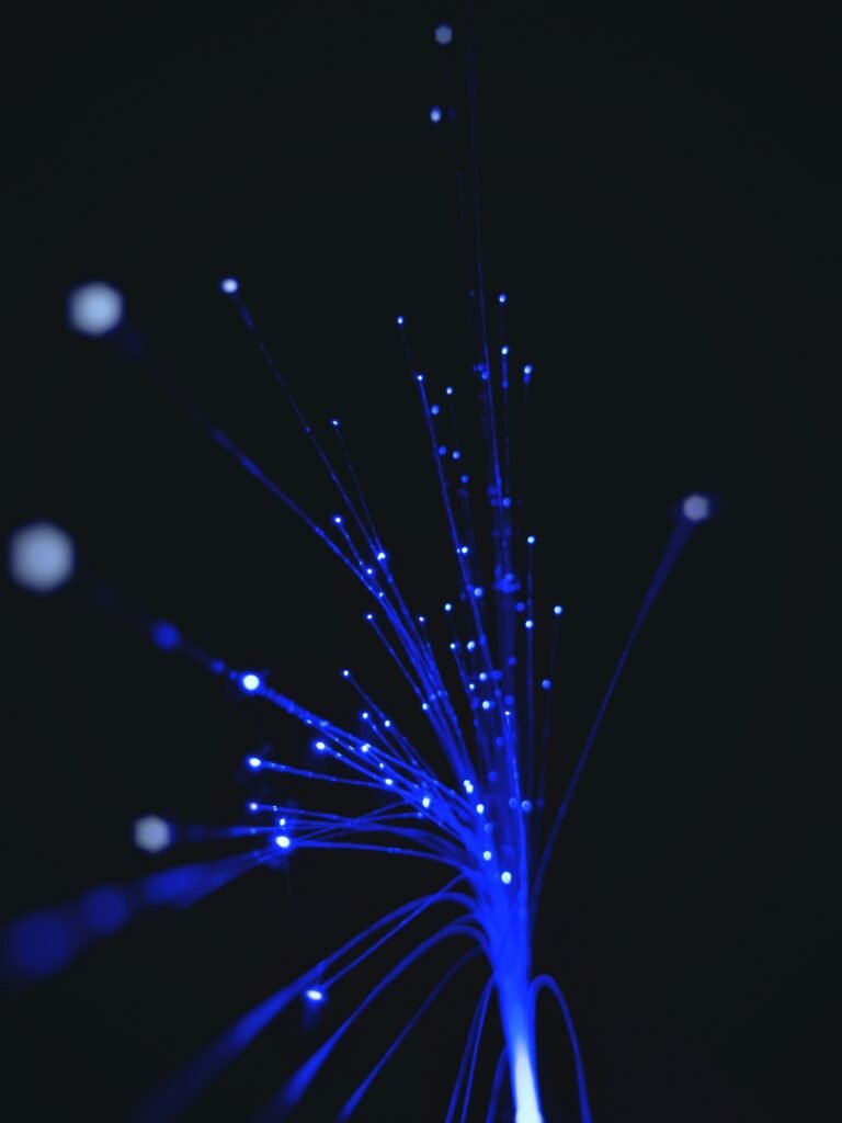 sigmund-lY_JEN49Re4-unsplash